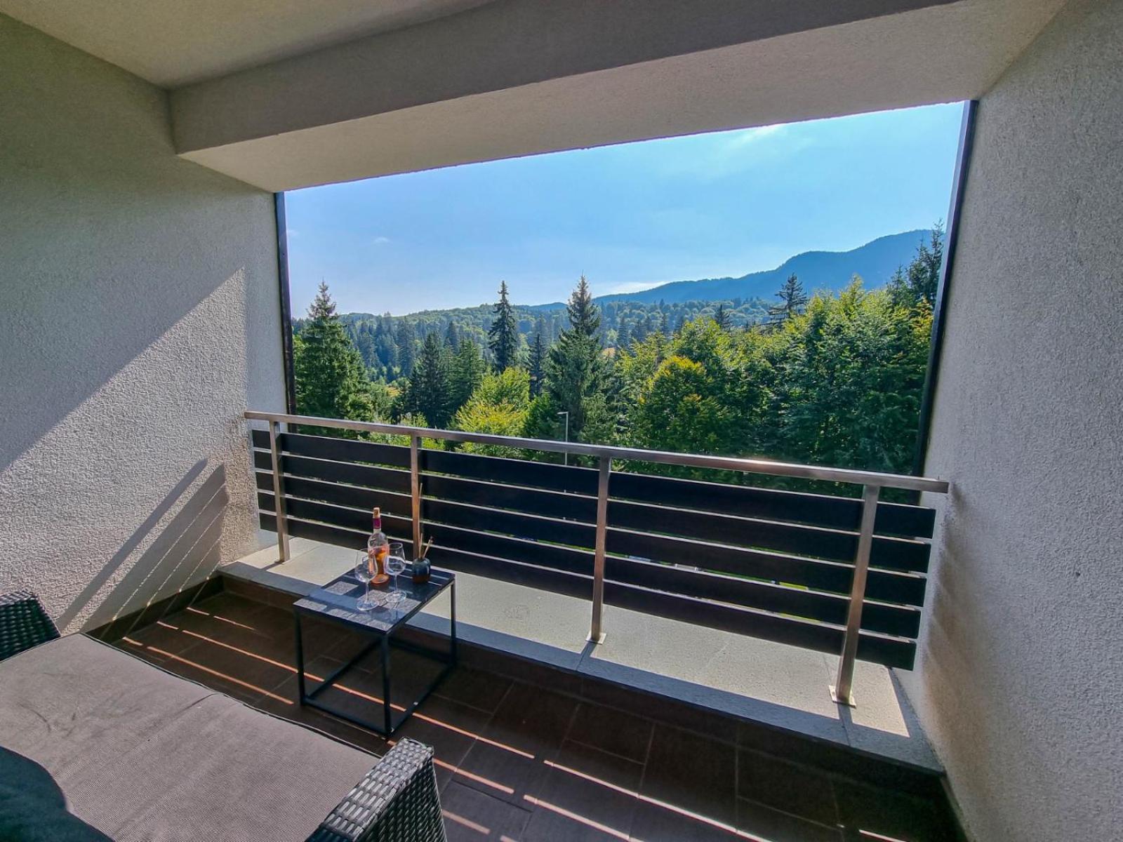 Silver Mountain G1 21 R Пояна-Брашов Екстер'єр фото