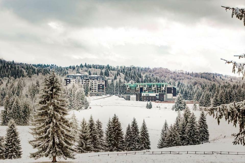 Silver Mountain G1 21 R Пояна-Брашов Екстер'єр фото